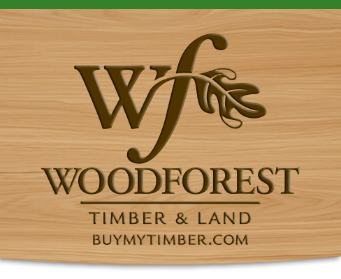 WoodForest Timber and Land